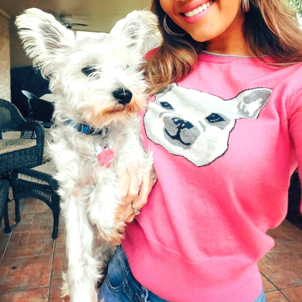 Gap rare dog sweater - high quality stretchy light Supersoftfabric